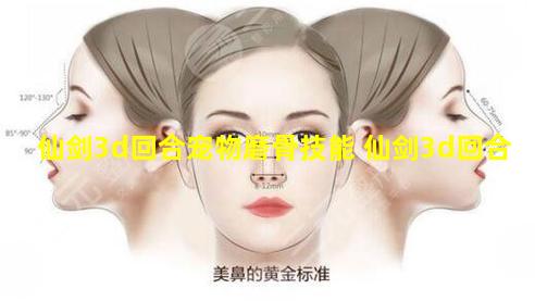 仙剑3d回合宠物磨骨技能 仙剑3d回合